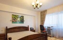 Apartament 1 camera, 45mp, decomandat, Nicolina