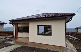 Casa plan parter, 113 mp, 750 mp teren, Valea Lupului