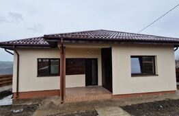 Casa plan parter, 113 mp, 750 mp teren, Valea Lupului