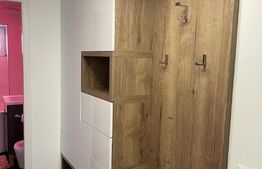 Apartament tip studio, decomandat, 45mp, zona Centrală 