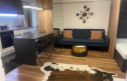 Apartament tip studio, decomandat, 45mp, zona Centrală 