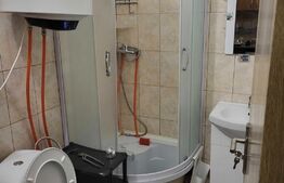 Garsonieră de închiriat, 17mp, zona Nicolina