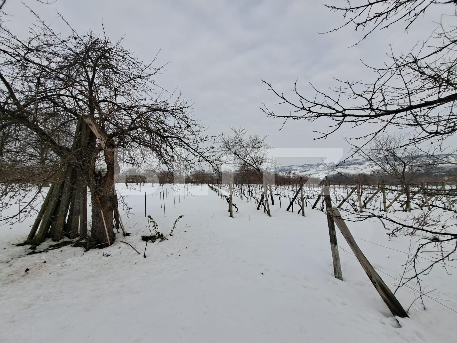 Casa de vânzare 5 camere Tomesti - 113625CV | BLITZ Iași | Poza3