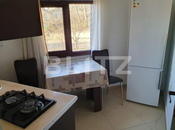 Garsonieră de închiriat Copou - 113725AI | BLITZ Iași | Poza3