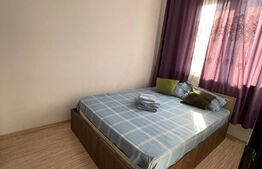 Apartament de 2 camere, decomandat, 40mp, zona Podu Ros