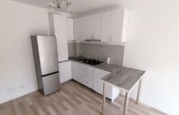 Apartament de 2 camere, decomandat, 42mp, zona Popas Pacurari