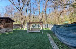 Casa de 5 camere, 340 mp utili, 540 mp teren, Nicolina