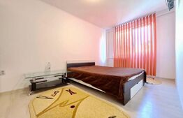 Garsoniera de 26mp, zona Podul Ros