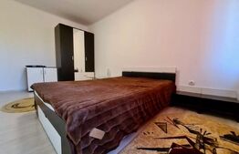 Garsoniera de 26mp, zona Podul Ros