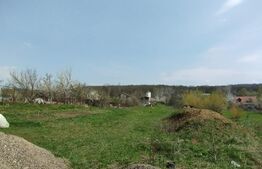 Teren intravilan 1500 mp, cu demisol, Grajduri