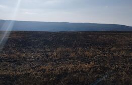 Teren 700 mp extravilan Valea Adanca