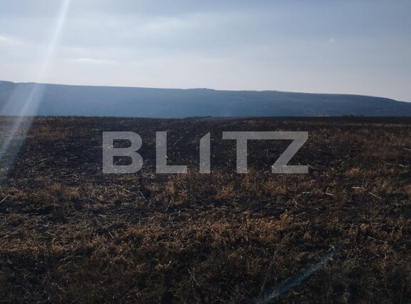 Teren de vânzare Valea Adanca - 114458TV | BLITZ Iași | Poza1