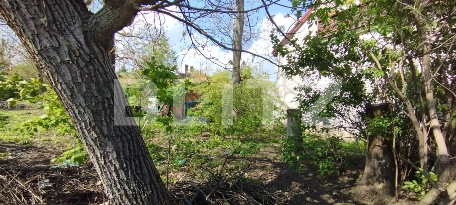 Teren de vânzare Tatarasi - 114459TV | BLITZ Iași | Poza2