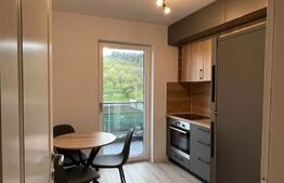 Apartament de 1 cameră, decomandat, 38,5mp, zona Frumoasa 