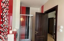 Penthouse, decomandat, 230mp, zona Podul de Fier