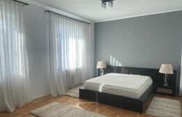 Penthouse, decomandat, 230mp, zona Podul de Fier