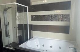 Penthouse, decomandat, 230mp, zona Podul de Fier