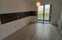 Apartament de 2 camere, semidecomandat, 45mp, zona Frumoasa