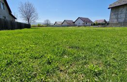 Teren intravilan, 800 mp, Horpaz