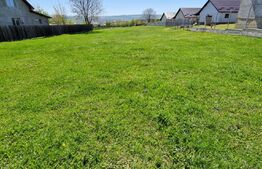 Teren intravilan, 800 mp, Horpaz