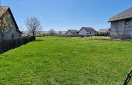 Teren intravilan, 800 mp, Horpaz