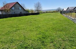 Teren intravilan, 800 mp, Horpaz