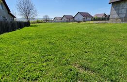 Teren intravilan, 800 mp, Horpaz