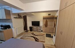 Garsoniera excelent pozitionata, 34 mp, Nicolina 2