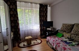 Apartament 2 camere, SD, 48 mp, Tatarasi