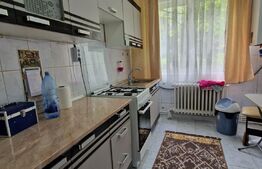 Apartament 2 camere, SD, 48 mp, Tatarasi