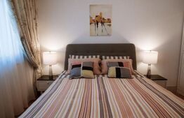 Vila de lux, zona Copou