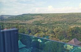 Apartament de 2 camere, semidecomandat, 45mp, zona Copou