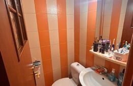 Apartament 3 camere, 77 mp, Valea Lupului
