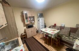 Apartament de 3 camere + spatiu verde amenajat, 70mp, Nicolina 2