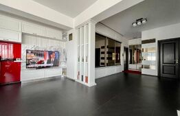 Apartament de 2 camere, semidecomandat, 94mp, zona Pacurari