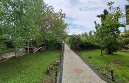 Casa DE VANZARE, 5 camere,250 mp utili, 1200 mp teren, Popas Pacurari