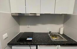 Garsoniera, decomandată, 20mp, zona Nicolina 