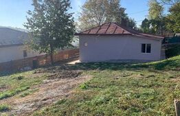 Casa cu 2 camere, 90mp, 500 mp de teren, Breazu