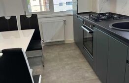 Apartament 2 camere, decomandat, 75mp, Metalurgie