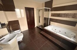 Penthouse 5 camere, central, 230 mp 