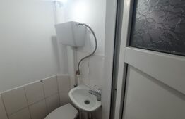 Parter Casa, 85 mp, 70 mp curte,  Copou