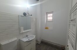 Parter Casa, 85 mp, 70 mp curte,  Copou