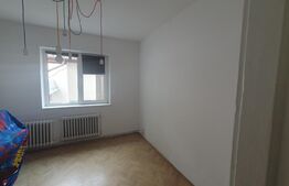 Parter Casa, 85 mp, 70 mp curte,  Copou