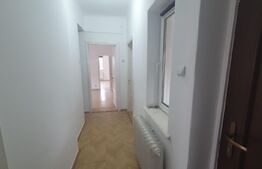 Parter Casa, 85 mp, 70 mp curte,  Copou