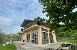 Casa de vacanta, 1000 mp Dobrovat 