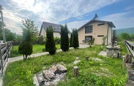 Casa de vacanta, 1000 mp Dobrovat 