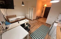 Garsoniera perfecta, 25 mp, zona Tatarasi.