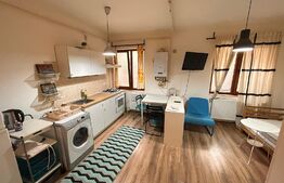 Garsoniera perfecta, 25 mp, zona Tatarasi.