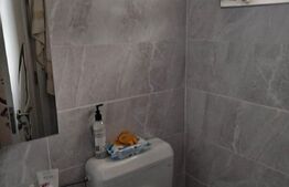 Apartament de 1 camera, 25 mp, decomandat, zona Copou