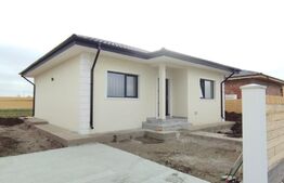 Casa 3 camere, plan parter, Vorovesti